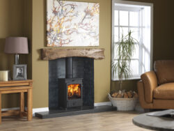 Charlton & Jenrick Go Eco 5kW Stove - Steel Door product view